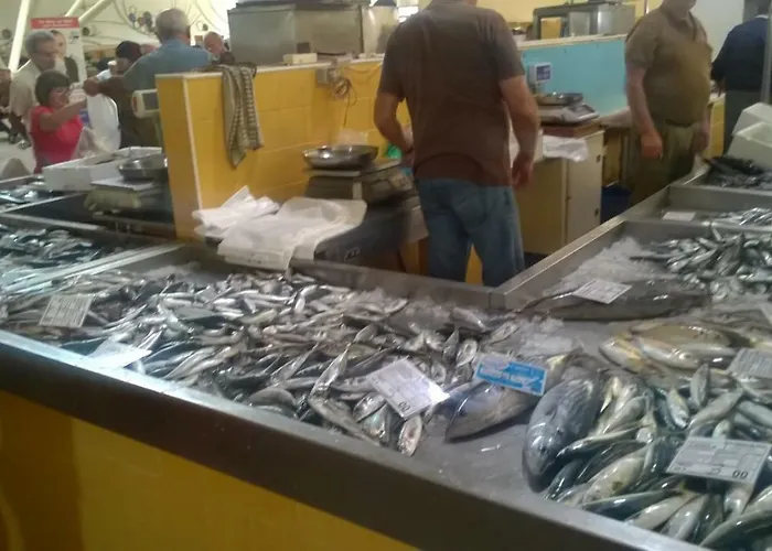 Garden Apartment Quinta Do Morgado Apartment