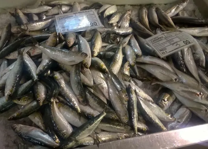 Garden Apartment Quinta Do Morgado Apartment *