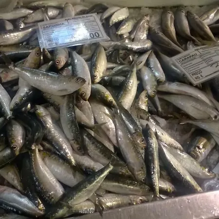 Garden Apartment Quinta Do Morgado Apartmán *